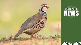 Defra Attacks Gameshooting Fieldsports News, 24 May 2023