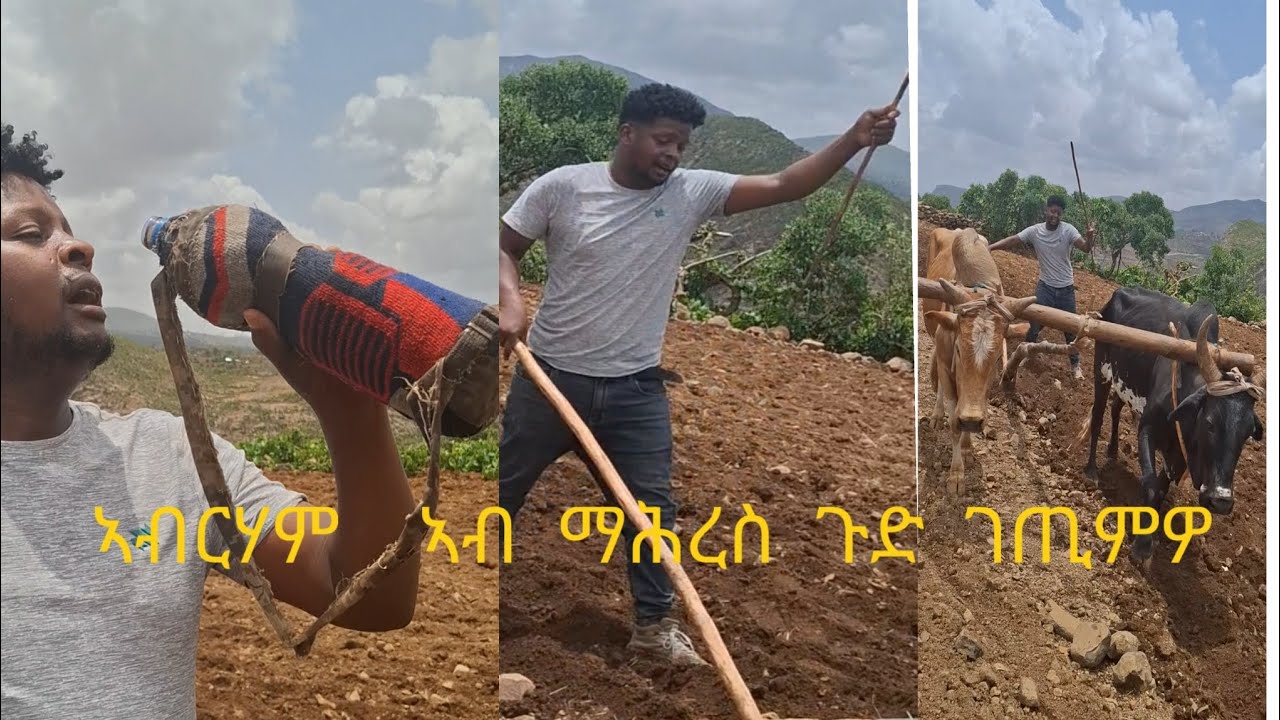#ምስ