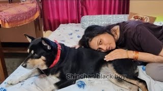 A Little Chaos With My Dog Shinchan Funny Moments