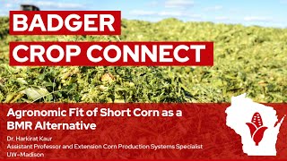 Agronomic Fit of Short Corn as a BMR Alternative with Harkirat Kaur
