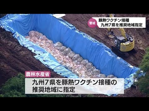 家畜伝染病「豚熱」 宮崎含む九州7県が予防ワクチン接種の推奨地域に指定 YouTube