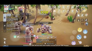 RAGNA ORIGIN FREELIFE: ASSASSIN DPS TIPS AND TRICKS!