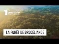 La Forêt de Brocéliande - Ille et Vilaine - Les 100 Lieux qu'il faut voir - Documentaire