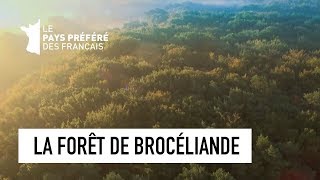 La Forêt de Brocéliande  Ille et Vilaine  Les 100 Lieux qu'il faut voir  Documentaire