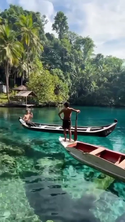 Wonderful Indonesia 🇮🇩 ❤ #indonesia #wonderfulindonesia #shorts #shortsfeed #nature