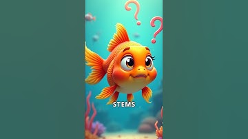 The Truth About Goldfish Memory: Myth or Fact?