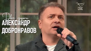 Александр ДОБРОНРАВОВ • ДВЕ ДУШИ | Лето Господне: Пётр и Феврония, 2023