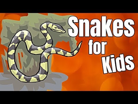 ⁣Snakes for Kids - A Fun and Exciting Video for Children