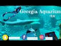 Atl vlog  georgia aquarium
