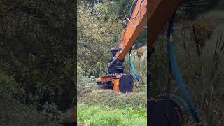 Bermarthor - Poderoso Destroçador Florestal De Martelos Fixos Efx Mdsb 120 Avt