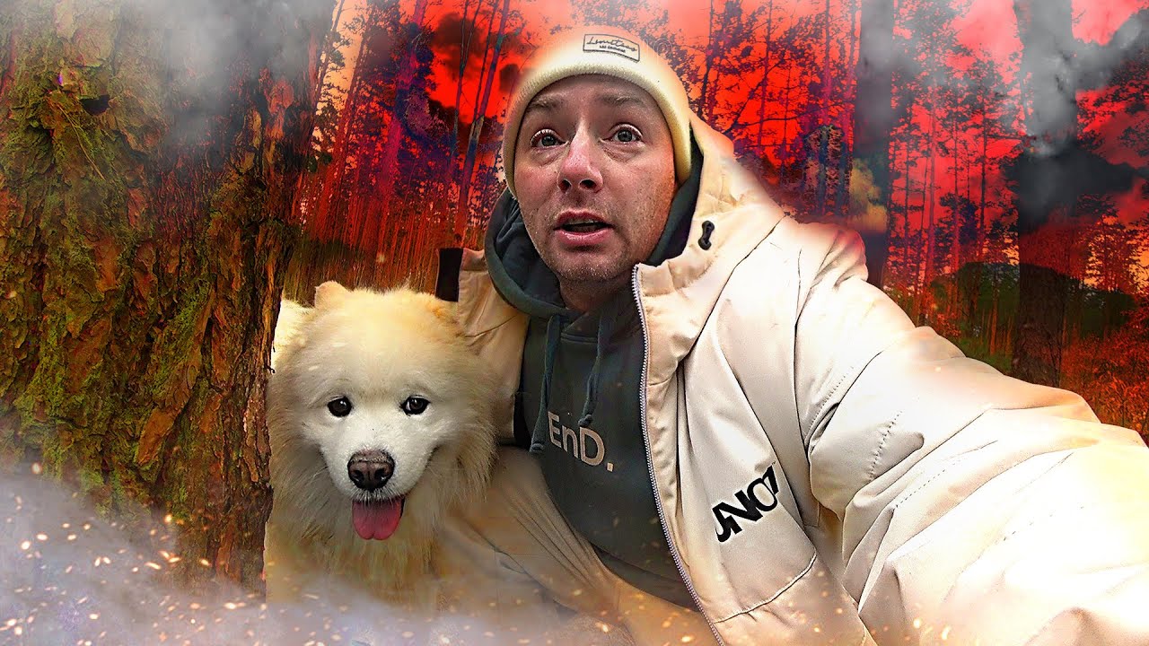 24 часа в ЖУТКОМ лесу. Землянка ЧТО с ней? Гуляем в ЛЕСУ с ЗУБИКОМ ...