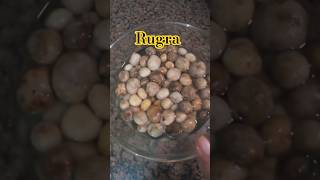 Jharkhands Very Own Mushroom Called Rugra