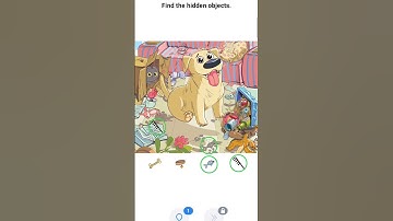 Can you find the remaining hidden object from this picture #braingames #shorts