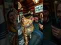 The Cat Who Ran a Town!