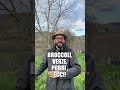 Cosa c'è nell'ORTO in INVERNO