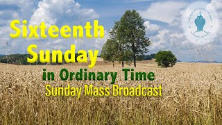 Sixteenth Sunday In Ordinary Time, Catholic Mass At Ihm, Wayne Nj