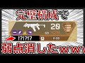 【完璧な構成】R99と○○を合わせると弱点が完璧に消えます。【APEX LEGENDS実況＆解説ショットガン】