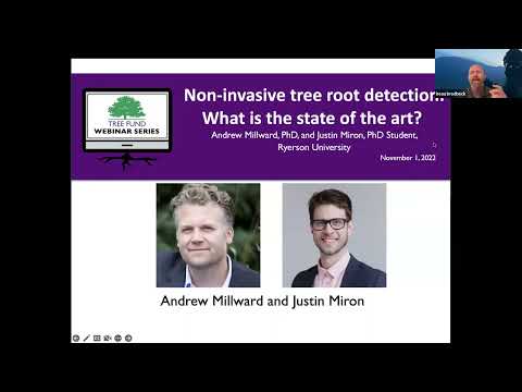 Videó: Invazív fagyökér-információk – Ismerje meg az invazív gyökerű fákat