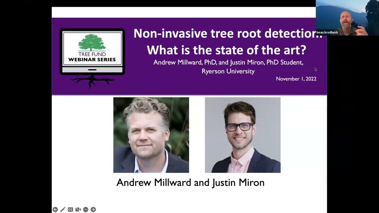 Noninvasive tree root detection What is the state of the art? The