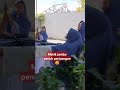 metik jambu penuh perjuangan pakek jatuh 🤣