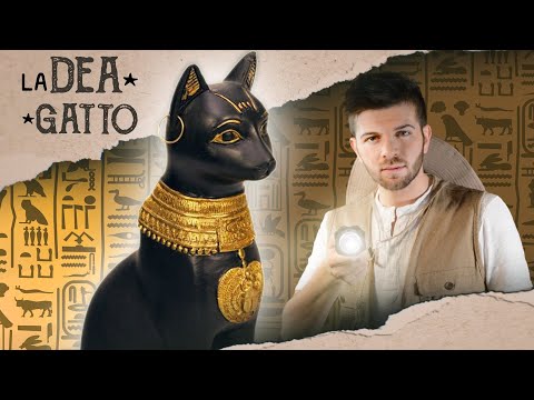 Video: Storia Dei Gatti In Egitto