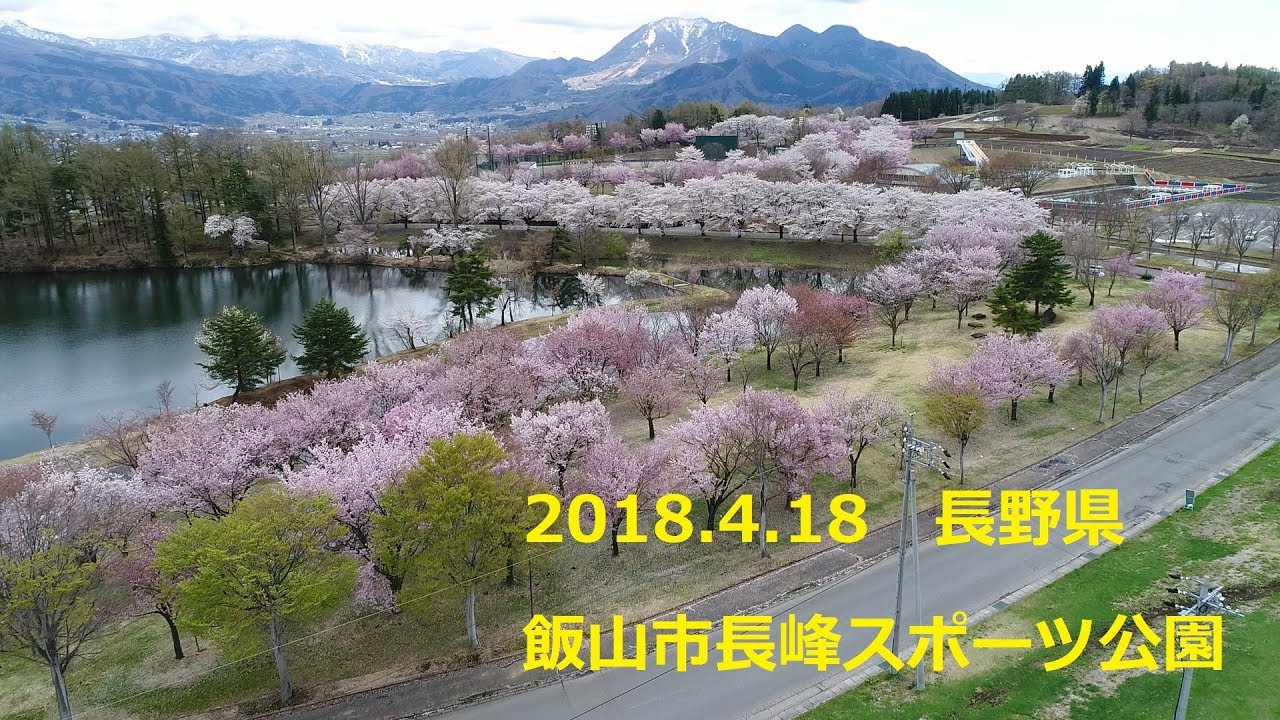 18 4 18 長野県 飯山市 長峰スポーツ公園 飯山市 長峰スポーツ公園 桜 空撮 ドローン映像 Youtube