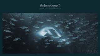 Jody Wisternoff & James Grant  Anjunadeep 05 CD1 (Continuous Mix)