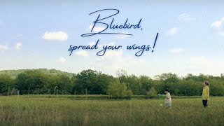 Watch Jannabi Bluebird Spread Your Wings video