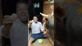 💕💕💕 Pronam pronam Guruboro 💕💕💕 Pronam Baba Sambhunath 💕💕💕 Pronam Kailash Pati Shiv 💕💕💕💕💕💕💕💕💕💕💕💕💕💕