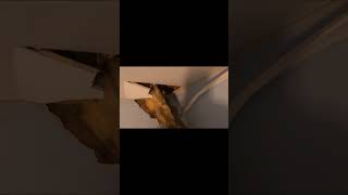 The Loft Builder’s Dirty Secret