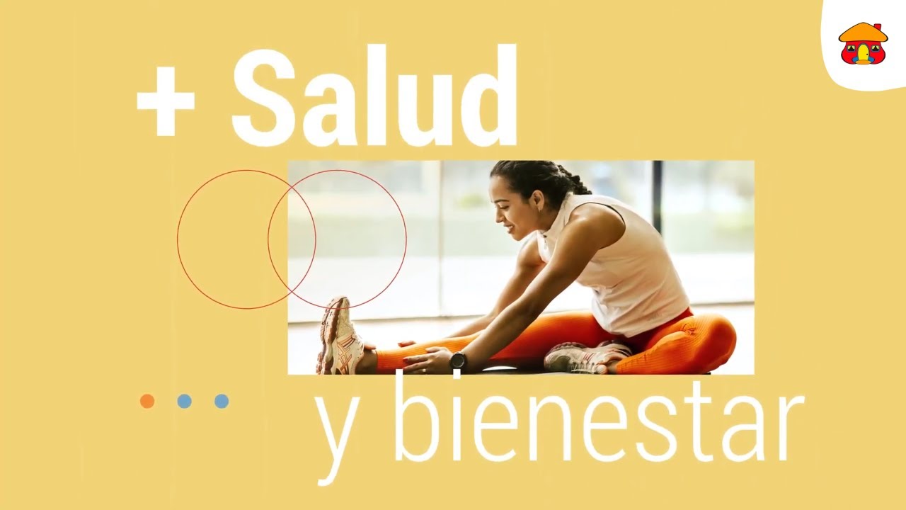 TENS para fisioterapia - Grupo medical bioservicios - soluciones integrales  en la salud