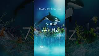 FRECUENCIA CETÁCEA 🐋 MÚSICA RELAJANTE #741hz