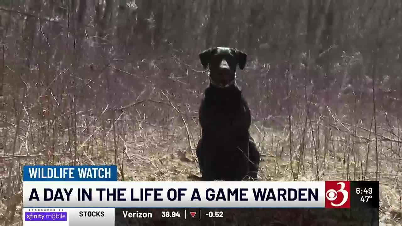 Wildlife Watch: A day in the life of a Vermont game warden 