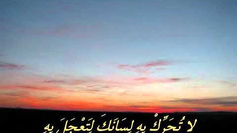 تلاوة خاشعة (سورة القيامة) شبل محمد البراك
