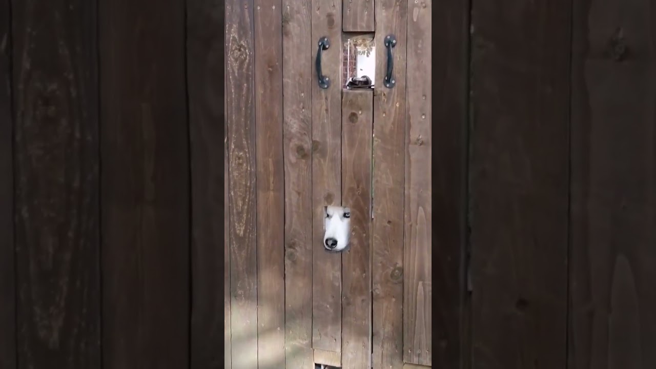 meet this stalker 😝