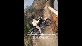 tough woman from Mount Fuji