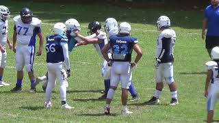 HALCONES UV VS LOBOS BUAP