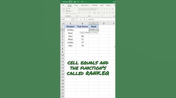 How to Rank from Highest to Lowest in Excel