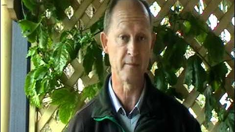 Creating Your Own Family Mission Statement