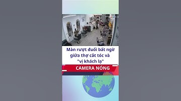 Màn rượt đuổi bất ngờ giữa thợ cắt tóc và "vị khách lạ" | TayNinhTV