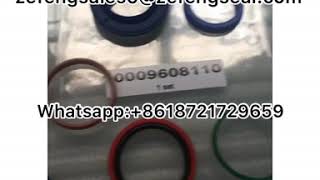 0009608101 linde forklift lift cylinder seal kit zefengsales5@zefengseal.com Whatsapp: 8618721729659