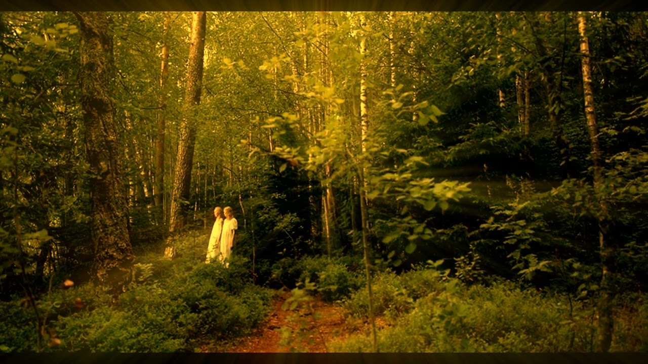 THE LOUD BANGS - "Emergency Surgery (Backwards Mix)" (Visualizer, HD)