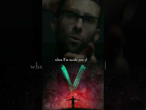 Animal Song Maroon 5 Shorts Maroon5