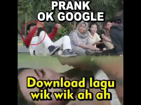 prank-ok-google-download-lagu-thailand-wik-wik-ah-ah-di-tempat-umum