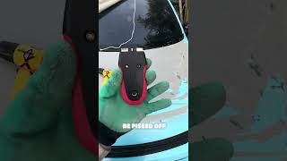 Removing 10 year Old Vinyl Wrap #vinylwrap #performance #diy ￼ Net Worth