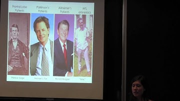 Learning and Memory Across the Lifespan