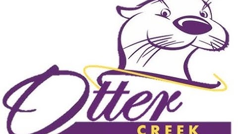 Submitting/Re-submitting Text Entry Assignments on Canvas