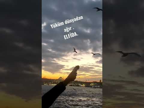 #elfida#shorts #keşfet #youtubeshorts  #damar #duygusalvideolar #fyptiktok#hozanbeşir#leventyüksel