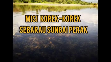 Korek-korek Sebarau Sungai Perak