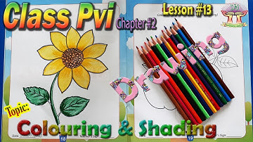 PVI DRAWING LESSON # 13 CHAPTER # 2  TOPIC: COLOURING & SHADING SUN FLOWER